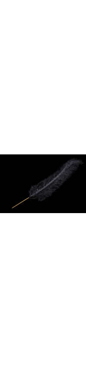 Tickler Black Ostrich 65 cm